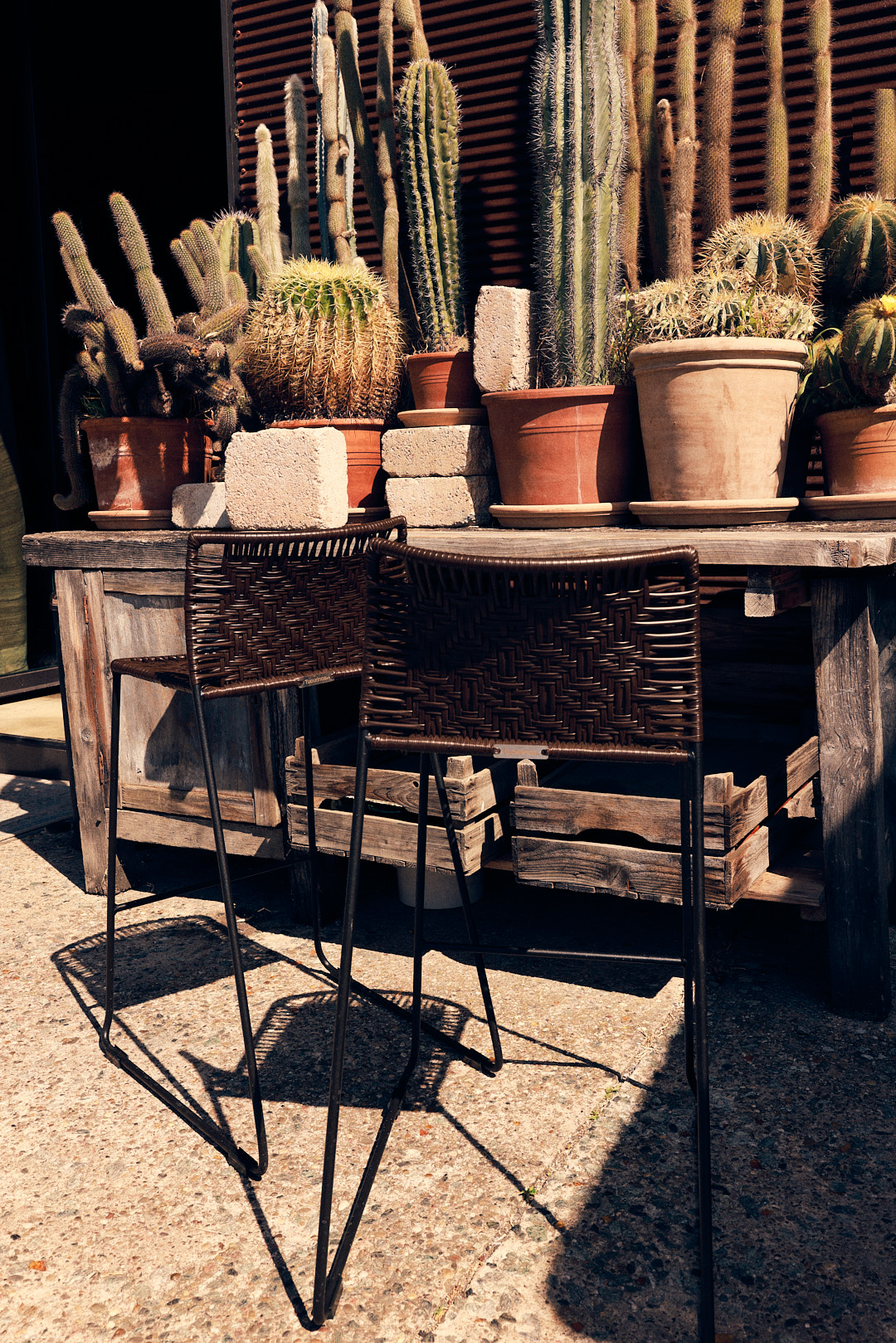 Brown woven highchairs in front of plants