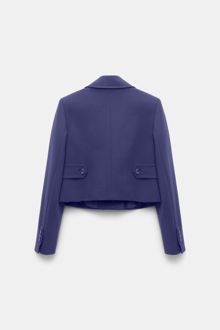 Dorothee Schumacher Cropped blazer in Punto Milano iris